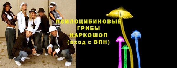 индика Гусиноозёрск