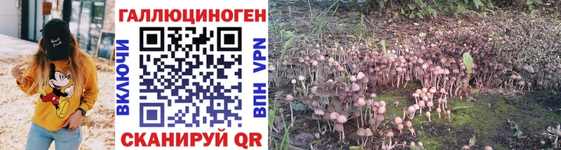Галлюциногенные грибы Psilocybine cubensis  Купить где  Петухово 